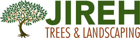 Jireh Trees