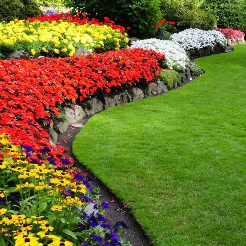 Landscape Design