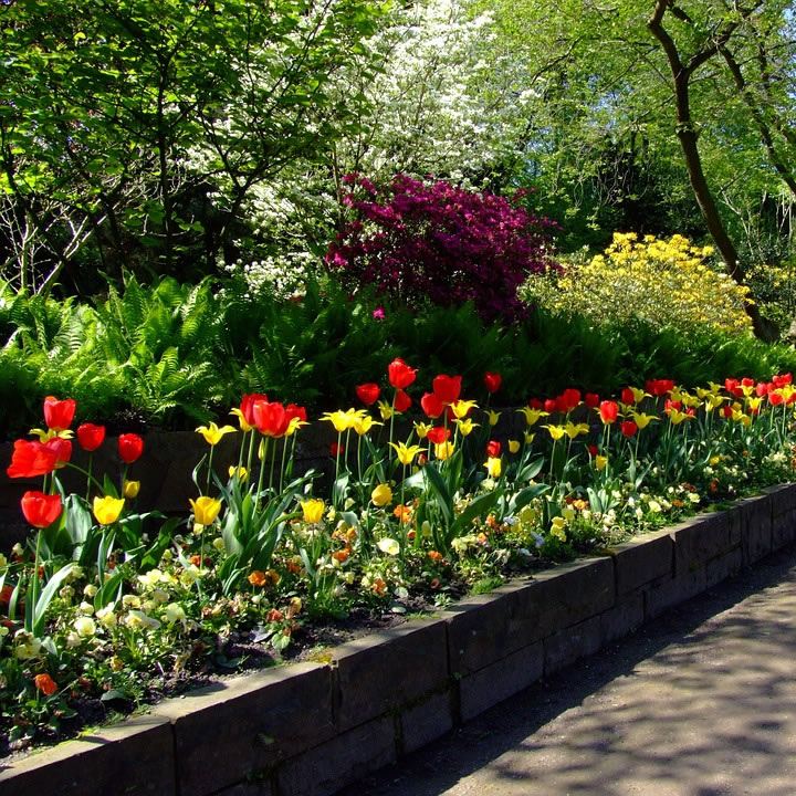 Flower Beds
