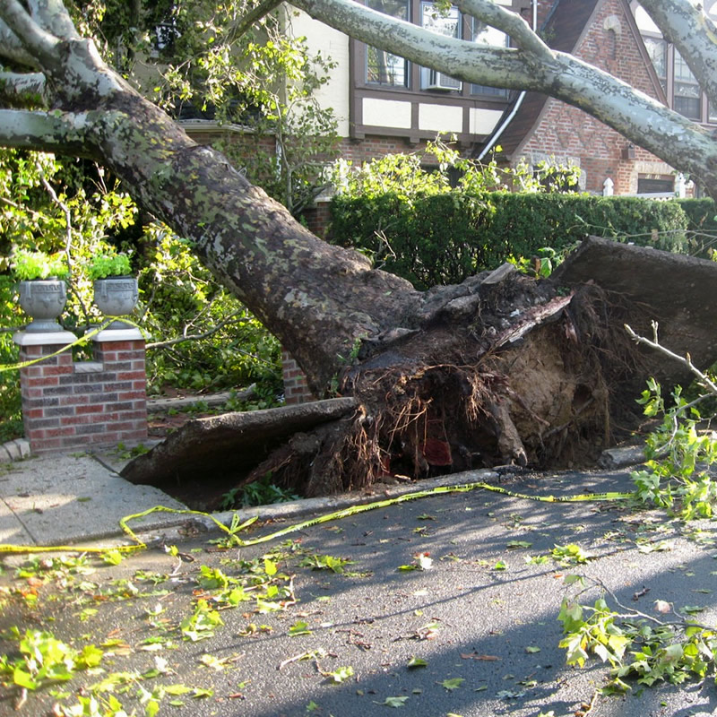 Storm Damage