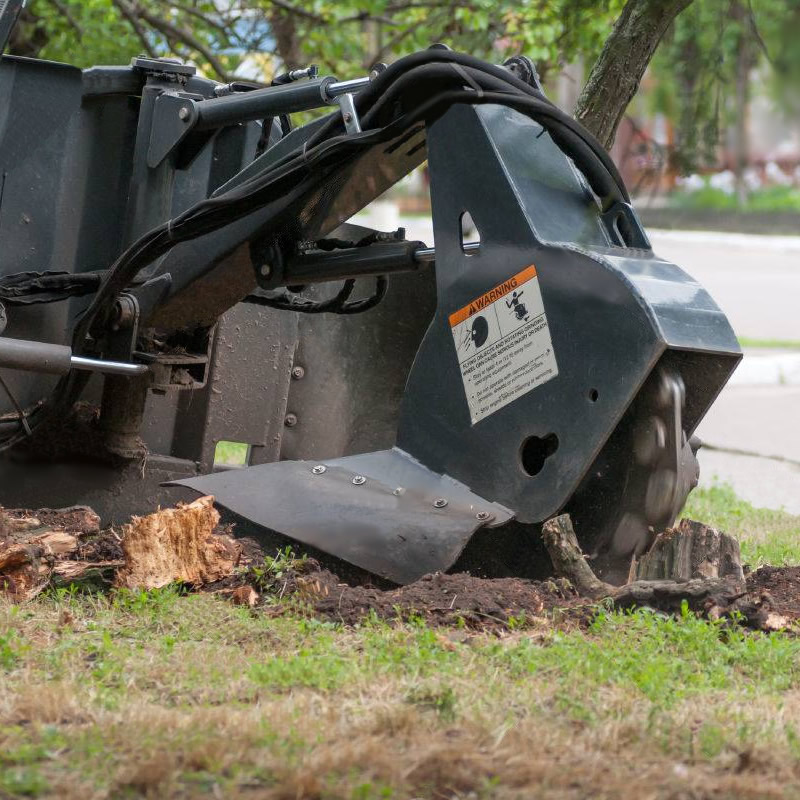 Tree and Stump Removal
